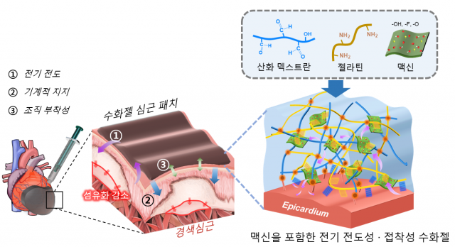 심장에 바를 수 있는 수화젤 심근 패치 모식도. 사진 제공=GIST