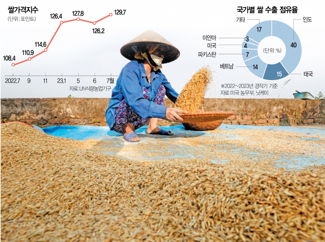 인도 수출금지·흑해 차단·이상기온 '겹악재'…쌀값 12년만에 최고