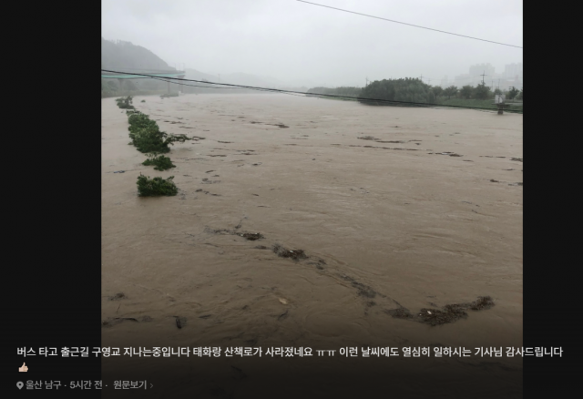 포털 사이트 네이버에 공유된 태풍 피해 사진. 네이버 캡처