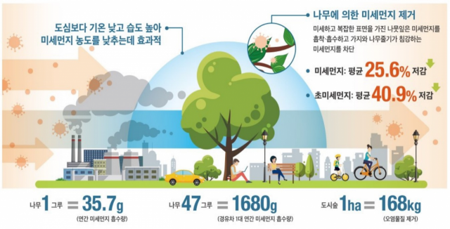 깨끗한 숲 속 공기를 도심으로…서울시, 2차 바람길숲 조성 나선다