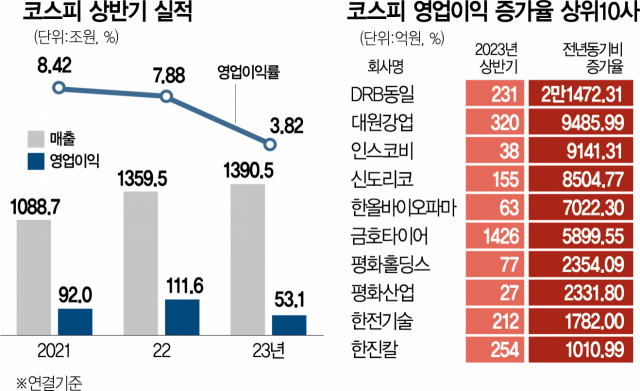 사진 설명