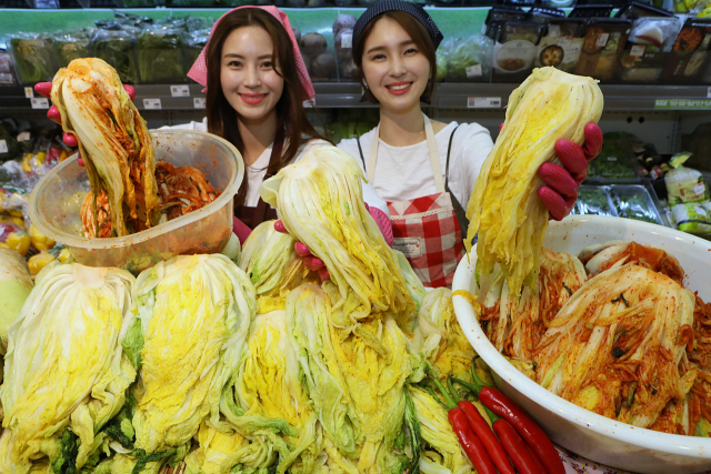 롯데마트 홍보 모델이 절임배추를 활용해 김치를 선보이고 있다. /사진제공=롯데쇼핑