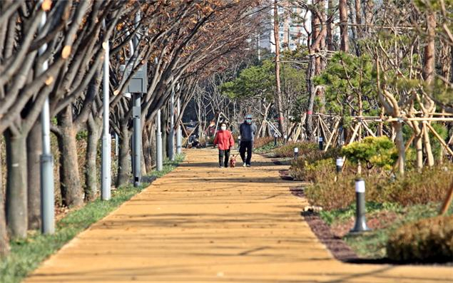 산림청이 경기 평택시와 함께 통복천에 조성한 도시바람길숲 전경. 사진 제공=산림청