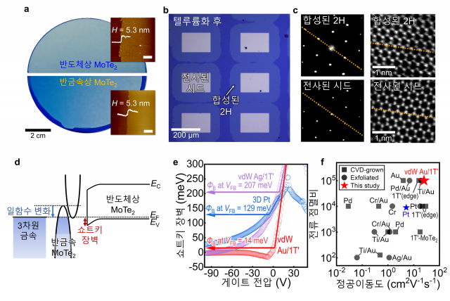 대면적 몰리브덴 텔루륨화 화합물반도체(MoTe2)의 합성 및 3차원 금속2차원 반금속 전극을 통한 고성능 p형 트랜지스터 소자 구현. UNIST