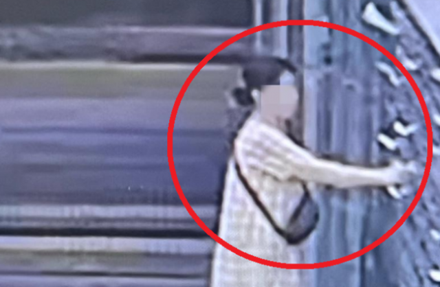 지난 4일 인천 구월동에서 한 여성이 남의 우편함을 뒤지고 있다. 사진=보배드림 캡처