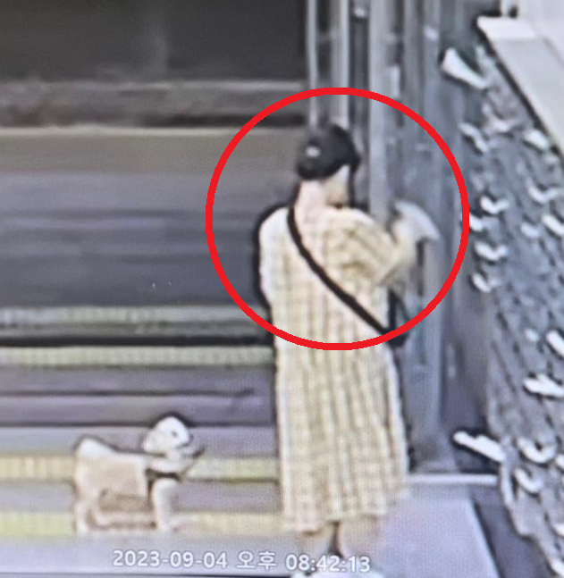개 산책 중 우편함서 고가 콘서트 티켓 훔친 여성, 온라인서 수배령