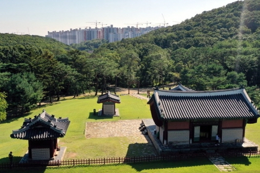 김포 장릉에서 보이는 인근 고층 아파트 모습. 연합뉴스