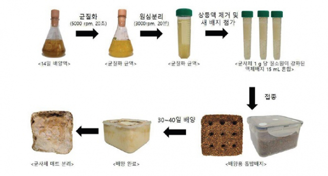 버섯 균사체 매트 제조방법 (특허 제10-2550483호)