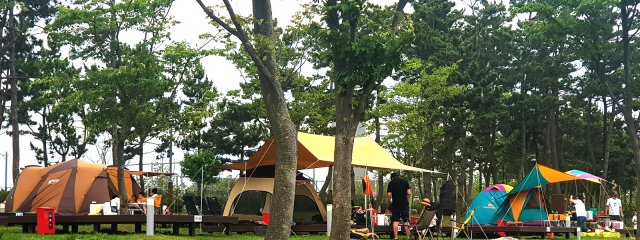 송도국제캠핑장을 찾은 인천 시민들이 가족들과 함께 텐트를 설치하고 식사 준비를 하는 등 캠핑을 즐기고 있다. 사진제공=송도국제캠핑장