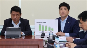 與 대선공작 게이트 진상조사단, "대선 공작, 개인 작품 아냐…"