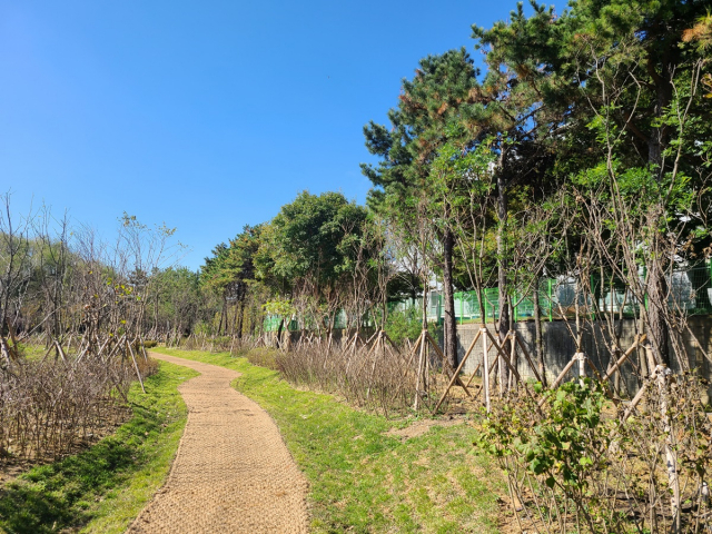 평택시 청북읍 어연산업단지 미세먼지 차단숲. 사진 제공 = 경기도