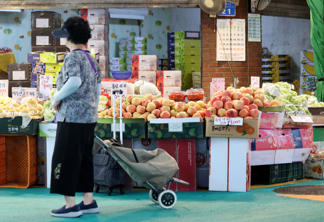 지난 12일 서울 마포구 망원시장을 찾은 시민들이 장을 보고 있다. 연합뉴스