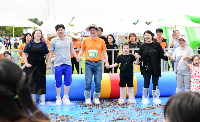 안산 대부포도축제에서 시민들과 포도밟기 체험하는 이민근 안산시장(왼쪽 세번째). 사진 제공 = 안산시