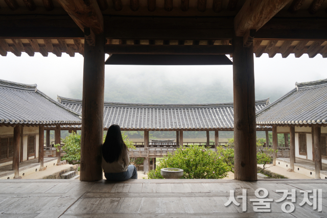 안동 병산서원 서원스테이의 한 참가자가 입교당 마루에 앉아 만대루 너머 낙동강과 병산 위로 물안개가 퍼져 나가는 것을 바라보고 있다.