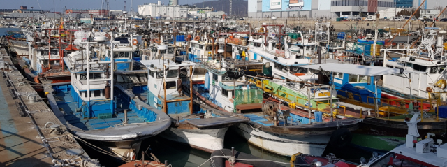 인천시 중구 항동 연안부두 어선 정박 전경. 사진제공=인천시