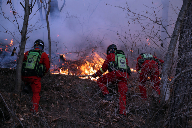 지난해 3월 경북 울진에 대형 산불이 발생해 소방대원들이 산불 진화작업을 하고 있다.연합뉴스