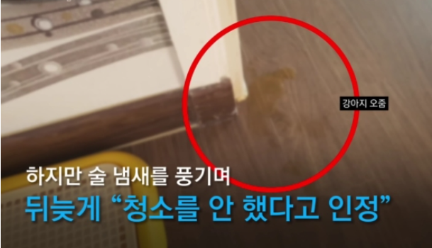 YTN 방송화면 캡처