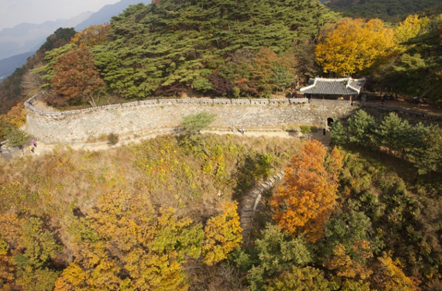 남한산성 소나무 숲. 사진 제공=경기도