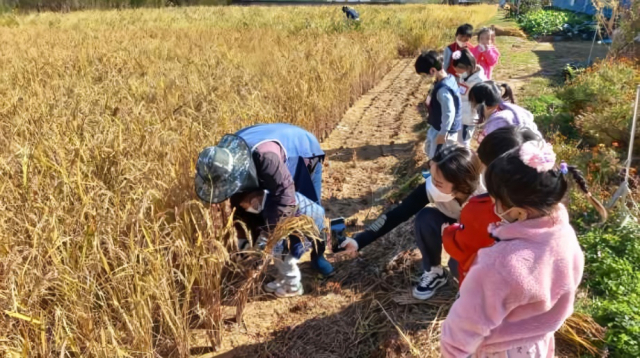 경기도농수산진흥원, 19~21일 경기도민텃밭서 '어린이 가을잔치'