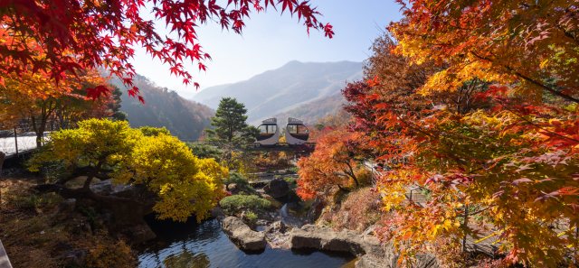 경기도 광주시 화담숲에서 모노레일이 단풍나무들 사이를 지나가고 있다. 사진 제공=곤지암리조트