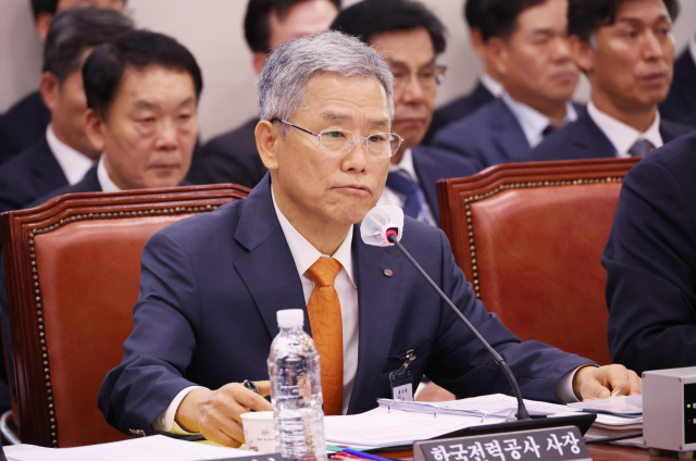 김동철 한국전력공사 사장이 19일 국회에서 열린 산업통상자원중소벤처기업위원회 국정감사에서 의원 질의에 답하고 있다. 연합뉴스