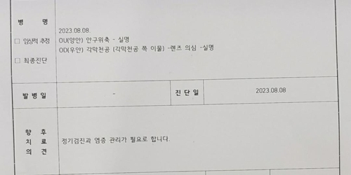 B 병원장은 강아지의 실명 사실을 인정하지 않다가 최근 다른 유명 병원의 진단서가 나오자 그제야 잘못을 수긍했다. 연합뉴스