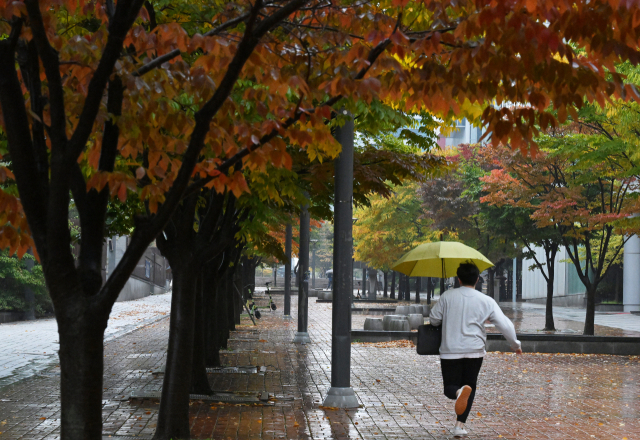 19일 경기 성남시 판교테크노밸리의 한 거리에서 우산을 쓴 시민이 출근길 발걸음을 재촉하고 있다. 성남=오승현 기자