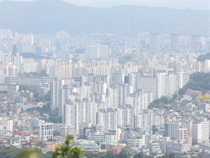 기사제목