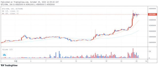 25일 12시 51분 기준 비트코인(BTC) 가격 차트 / 출처=빗썸.