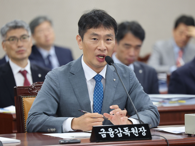 금감원, 카카오 '기소의견' 檢 송치…김범수 구속영장 위기