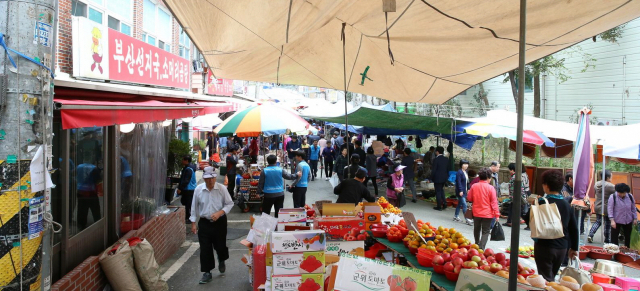 울산태화시장. 사진제공=울산시