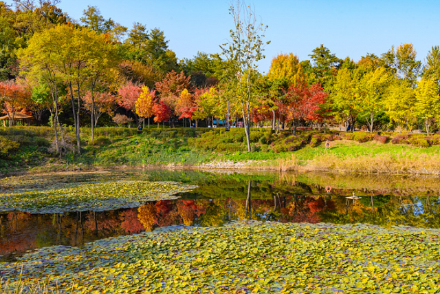 서서울호수공원 산책로. 사진제공=양천구