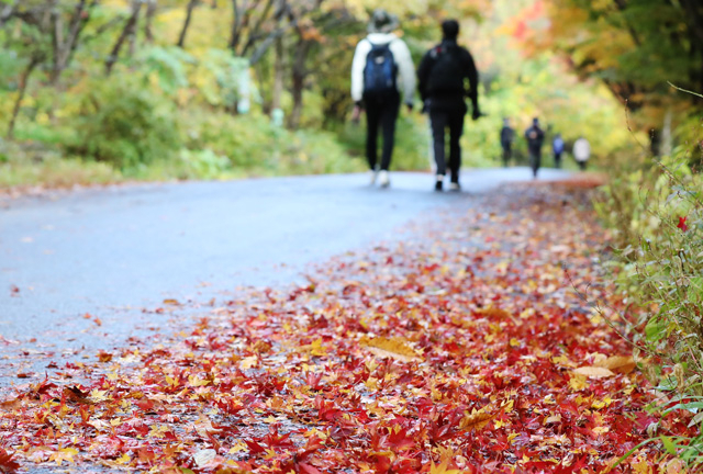 기사의 이해를 돕기 위한 사진. 본문과 직접적 연관 없음. 연합뉴스