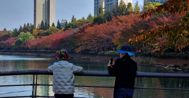 맑은 가을 날씨를 보인 30일 오후 서울 강남구 석촌호수에서 시민들이 형형색색 물든 단풍을 보며 시간을 보내고 있다. 연합뉴스