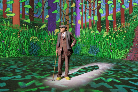 사진 설명. David Hockney ⓒJustin Sutcliffe