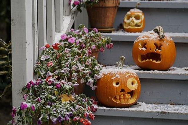 31일(현지시간) 미국 시카고 지역 주택가에 장식된 가을꽃 화분과 핼러윈 장식이 폭설로 변한 첫눈에 덮였다. AP연합뉴스