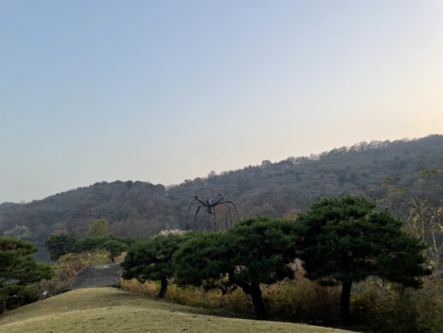 용인 호암미술관 인근에 설치된 대형 청동 거미 조각 루이스 부르주아의 ‘마망’, 사진=서지혜 기자