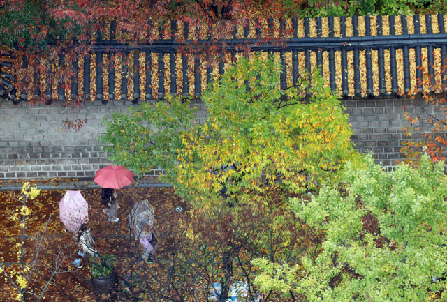 가을비가 내린 5일 서울 중구 정동 덕수궁 돌담길에 단풍이 내려앉아 깊어져 가는 가을의 아름다움을 뽐내고 있다.연합뉴스