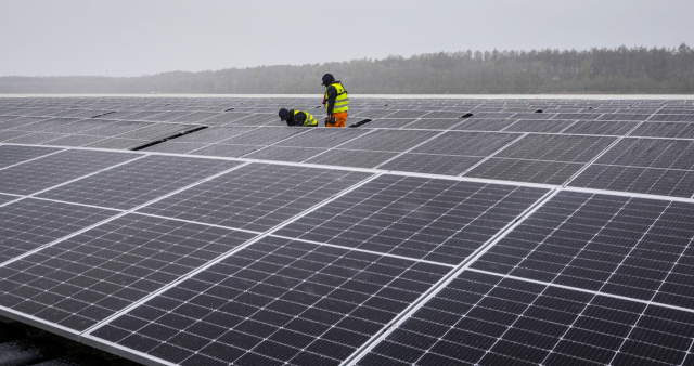 독일 서부 할테른에 위치한 태양광 발전소에서 작업자들이 태양 전지판을 점검하고 있다./AP연합뉴스