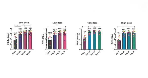 에스티팜의 코로나19 메신저리보핵산(mRNA) 백신 ‘STP2104’의 임상1상 중간 결과 중화항체역가. 사진 제공=에스티팜