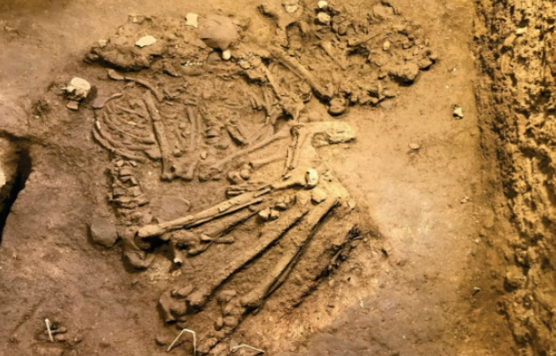 베트남에서 발견된 1만 년 전 사람 추정 뼛조각. 사진=VN 익스프레스 캡처
