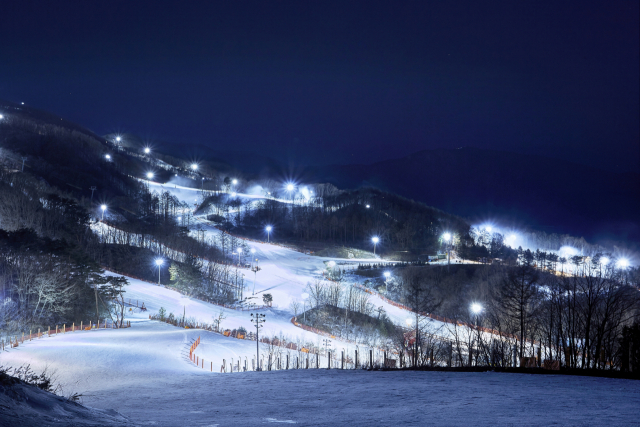 1년을 기다렸다…'雪'레는 겨울왕국