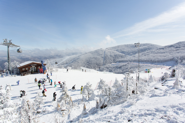 1년을 기다렸다…'雪'레는 겨울왕국