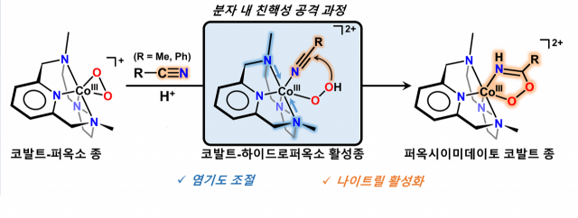 암세포만 골라 죽이는 항암전구체 물질 만드는 새 방법 발견