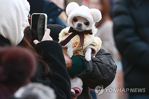 8일 오후 서울 서대문구 안산 일대에서 열린 반려견과 함께하는 산책길 및 놀이터 개장식에서 시민이 반려견 사진을 찍고 있다. 연합뉴스