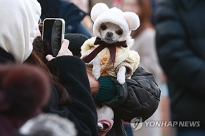 "댕댕이도 패딩 꺼내 입혀야 겠네"…29일 대부분 지역 아침 '영하'