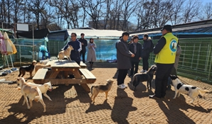 권익위, '유기동물 입양·보호' 개선안 마련