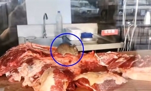 중국 또 식품위생 논란…이번엔 쥐가 뜯은 고기쓰는 훠궈식당