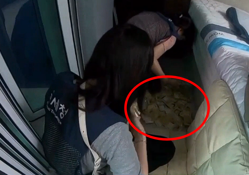 국세청 직원들이 금고 밑에 숨겨둔 현금다발(붉은 원)을 찾아냈다. SBS 보도화면 캡처