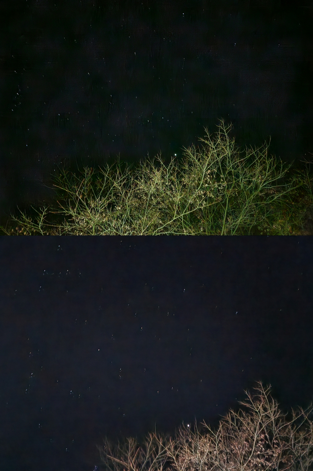 하드웨어 성능이 비슷한 두 제품 갤럭시S23 FE(위)와 갤럭시S22로 촬영한 밤하늘 사진. 갤럭시S23 FE의 사진이 밤하늘을 더 까맣게, 별빛을 더 대조적으로 표현해주지만, 회색에 가까운 나뭇가지를 초록색으로 표현하는 등의 왜곡이 있다. 김윤수 기자